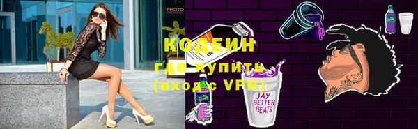 шишки Белокуриха
