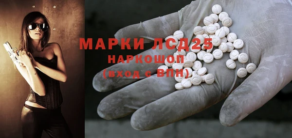 шишки Белокуриха