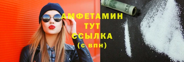 шишки Белокуриха