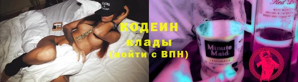 шишки Белокуриха