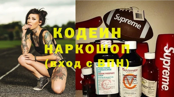 шишки Белокуриха