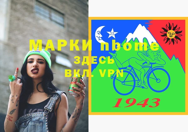 шишки Белокуриха