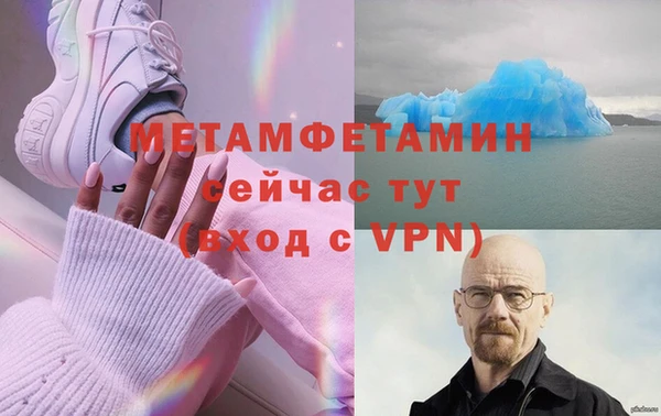 шишки Белокуриха