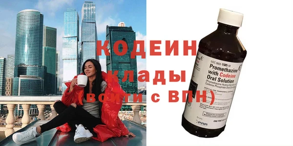 шишки Белокуриха
