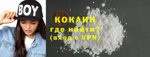шишки Белокуриха