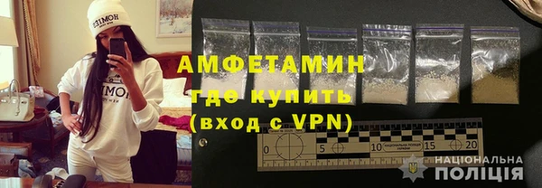 шишки Белокуриха
