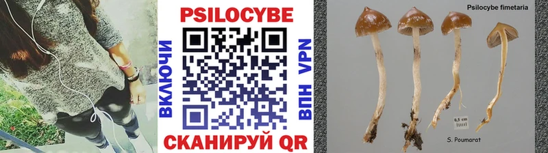 KRAKEN ссылки  Нерчинск  Псилоцибиновые грибы мухоморы 